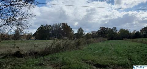 160 County Road 43, Cedar Bluff, AL 35959 photo 7
