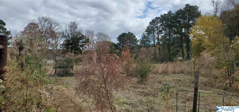 160 County Road 43, Cedar Bluff, AL 35959 photo 16
