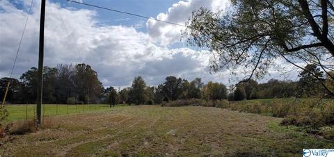 160 County Road 43, Cedar Bluff, AL 35959 photo 9