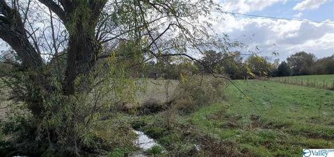 160 County Road 43, Cedar Bluff, AL 35959 photo 17