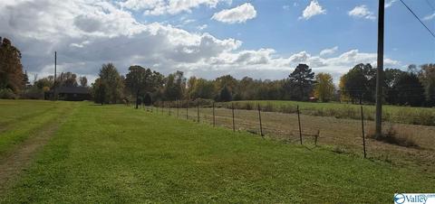 160 County Road 43, Cedar Bluff, AL 35959 photo 3