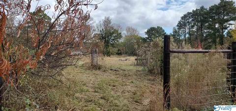 160 County Road 43, Cedar Bluff, AL 35959 photo 37