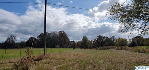 160 County Road 43, Cedar Bluff, AL 35959 photo 15