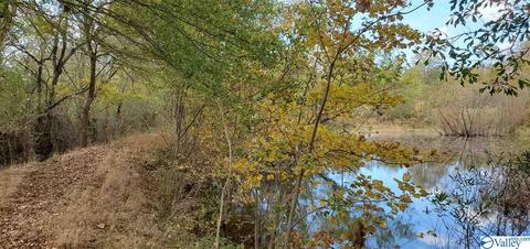 160 County Road 43, Cedar Bluff, AL 35959 photo 33