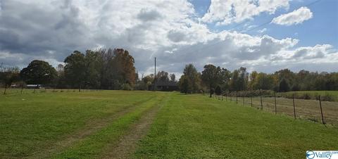 160 County Road 43, Cedar Bluff, AL 35959 photo 4