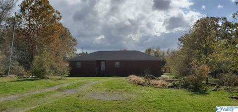 160 County Road 43, Cedar Bluff, AL 35959 photo 8