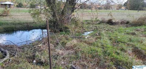 160 County Road 43, Cedar Bluff, AL 35959 photo 18