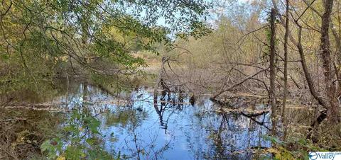 160 County Road 43, Cedar Bluff, AL 35959 photo 35