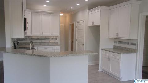 13 Natchez Trce, Trinity, AL 35673 photo 13