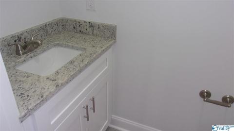 13 Natchez Trce, Trinity, AL 35673 photo 41