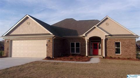 13 Natchez Trce, Trinity, AL 35673 photo 1