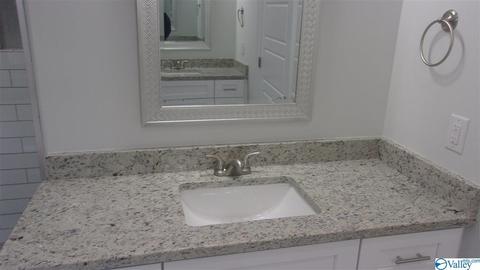 13 Natchez Trce, Trinity, AL 35673 photo 29