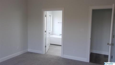 13 Natchez Trce, Trinity, AL 35673 photo 21
