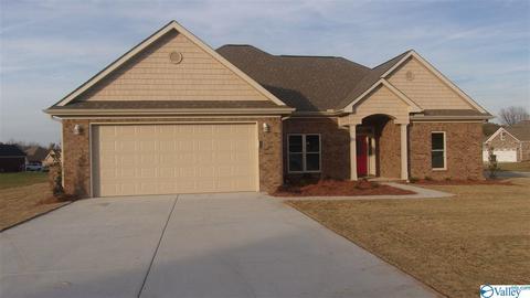 13 Natchez Trce, Trinity, AL 35673 photo 3