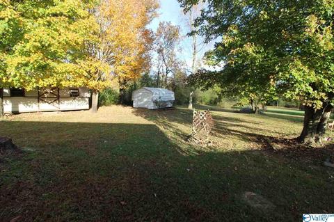 2576 Mat Morrow Rd, Arab, AL 35016 photo 21