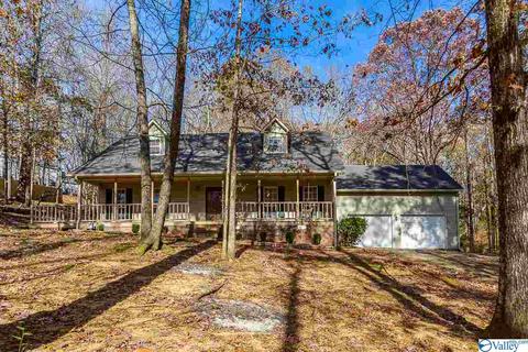 221 Ghost Hill Rd, Trinity, AL 35673 photo 1
