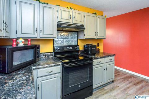 221 Ghost Hill Rd, Trinity, AL 35673 photo 4