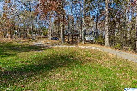 221 Ghost Hill Rd, Trinity, AL 35673 photo 25
