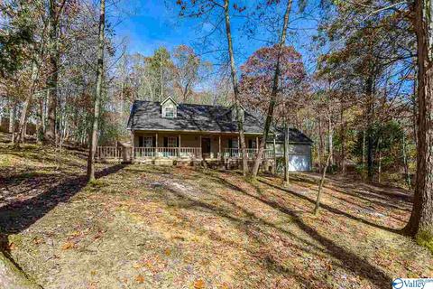 221 Ghost Hill Rd, Trinity, AL 35673 photo 24