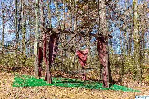 221 Ghost Hill Rd, Trinity, AL 35673 photo 20