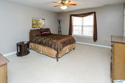 221 Ghost Hill Rd, Trinity, AL 35673 photo 9