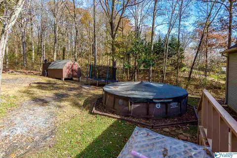 221 Ghost Hill Rd, Trinity, AL 35673 photo 21