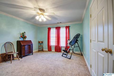 495 County Road 301, Trinity, AL 35673 photo 24