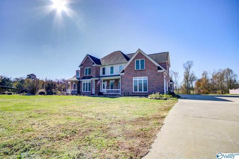 495 County Road 301, Trinity, AL 35673 photo 35