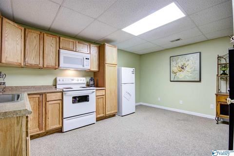 495 County Road 301, Trinity, AL 35673 photo 26