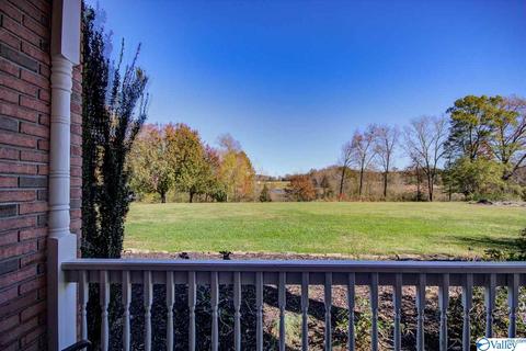 495 County Road 301, Trinity, AL 35673 photo 14