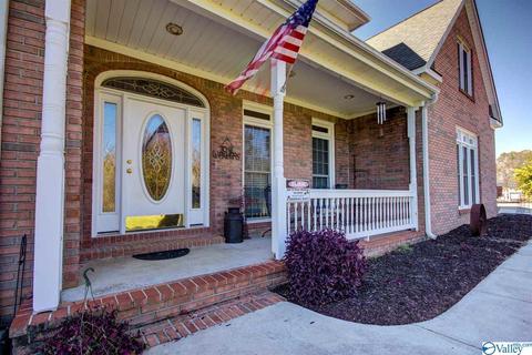 495 County Road 301, Trinity, AL 35673 photo 2