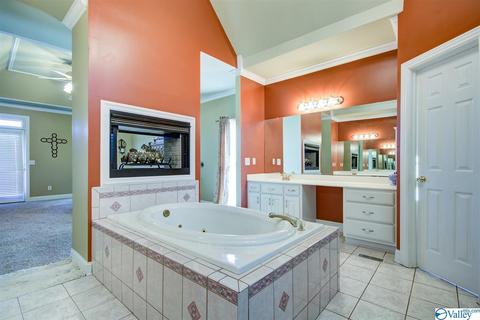 495 County Road 301, Trinity, AL 35673 photo 17