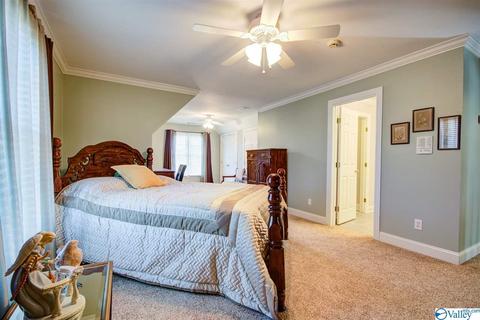 495 County Road 301, Trinity, AL 35673 photo 21