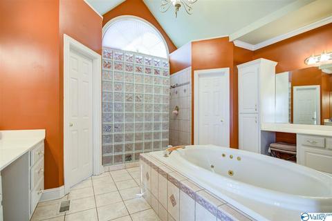495 County Road 301, Trinity, AL 35673 photo 15