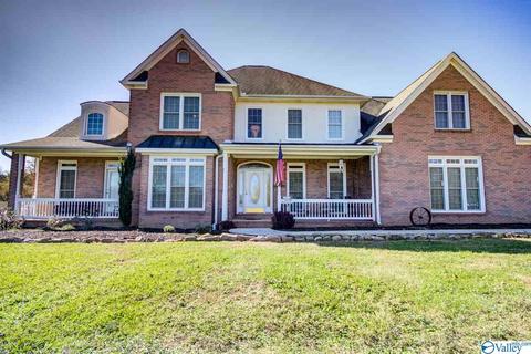 495 County Road 301, Trinity, AL 35673 photo 30