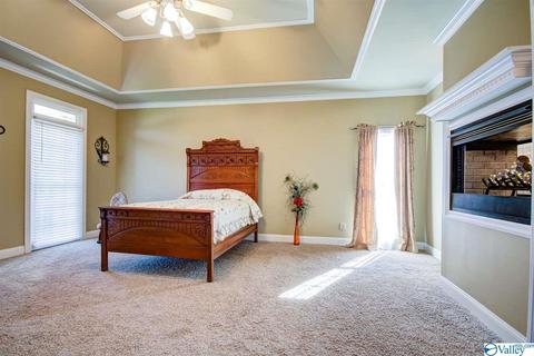 495 County Road 301, Trinity, AL 35673 photo 12