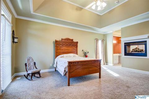 495 County Road 301, Trinity, AL 35673 photo 36