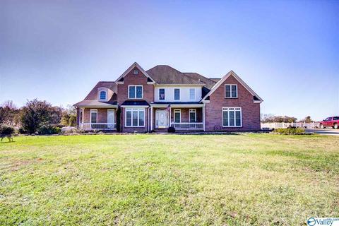 495 County Road 301, Trinity, AL 35673 photo 1