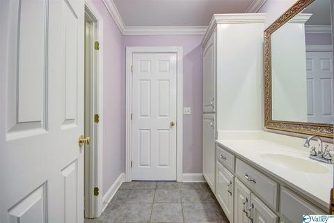 495 County Road 301, Trinity, AL 35673 photo 23