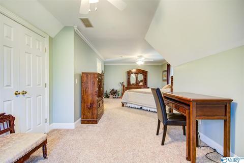 495 County Road 301, Trinity, AL 35673 photo 19