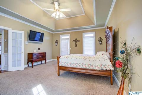 495 County Road 301, Trinity, AL 35673 photo 13