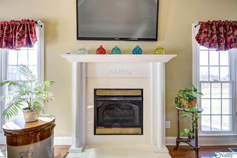 495 County Road 301, Trinity, AL 35673 photo 11