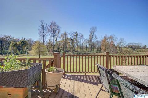 495 County Road 301, Trinity, AL 35673 photo 33