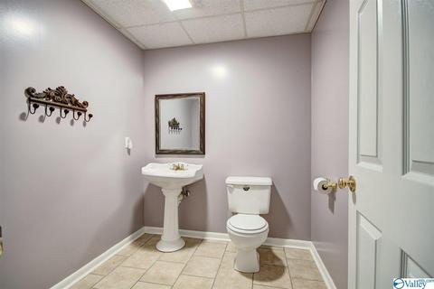 495 County Road 301, Trinity, AL 35673 photo 27