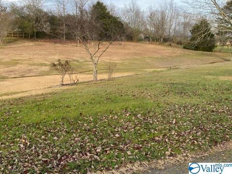 91 Click Dr, Grant, AL 35747 photo 12