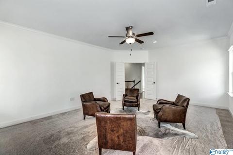 108 Napolean Ave, Madison, AL 35758 photo 22