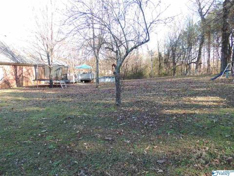 50 Bethany Cir, Killen, AL 35645 photo 46