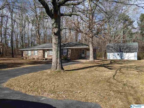 4071 County Road 316, Trinity, AL 35673 photo 4