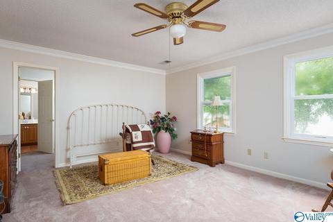 152 Cedar Point Ln, Killen, AL 35645 photo 34
