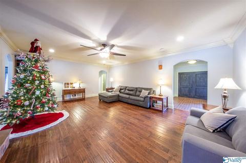 254 Bluffview Dr, Arab, AL 35016 photo 20